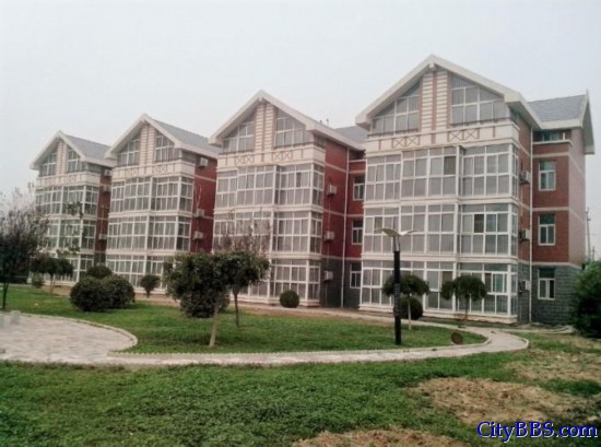 河南省台前县多家政府部门超标建办公楼