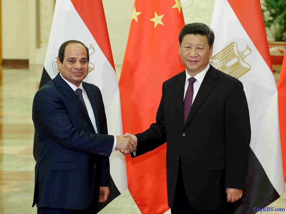 习近平与埃及总统塞西会晤