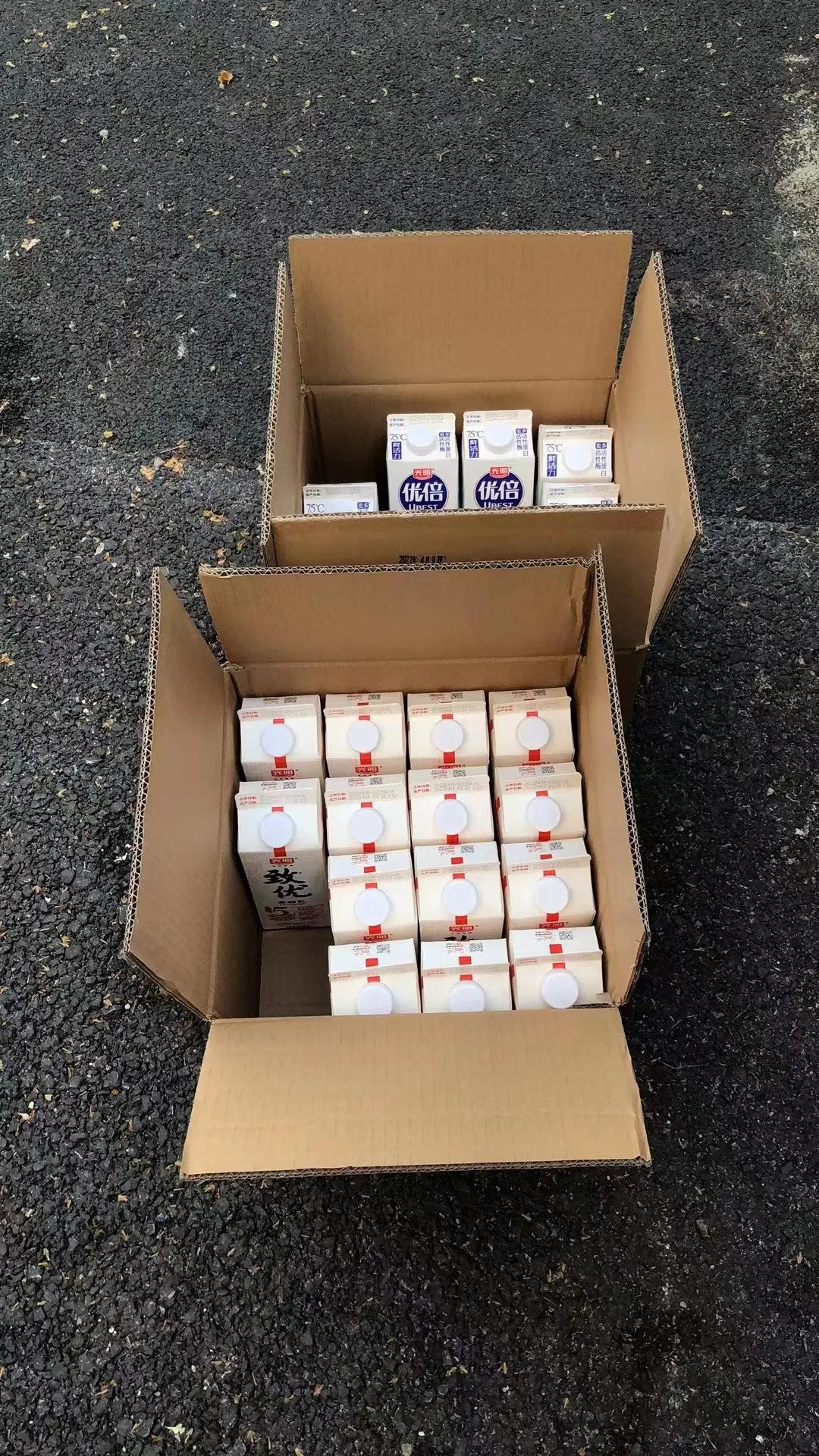 上海人的抱团自救