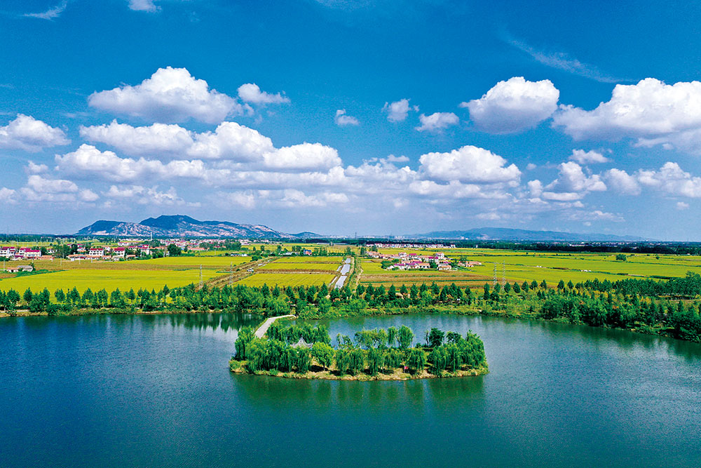 蓝色港城灵动的生态画卷